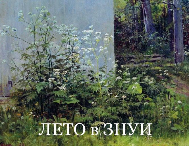 Лето в ЗНУИ